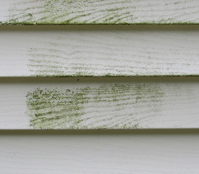 Placeholder Project Title 3