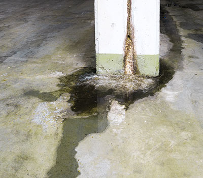 Placeholder Project Title 5